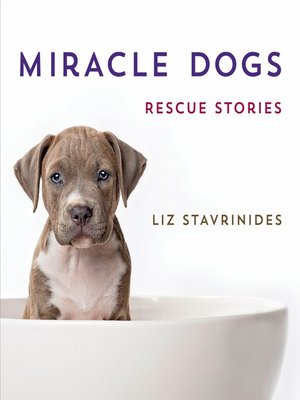 cover image of Miracle Dogs